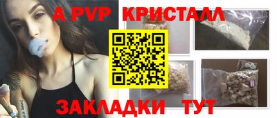 шишки Аргун